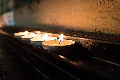 《狩猎之道》1.20版本更新上线 增加两个新动物